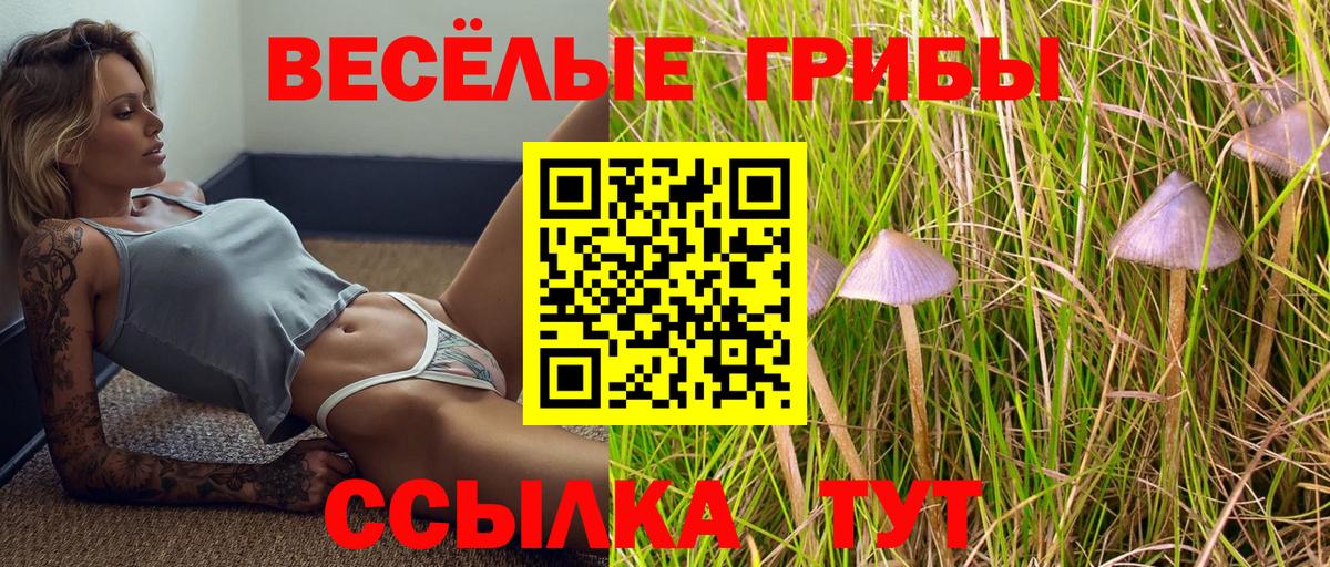 Псилоцибиновые грибы мицелий Нефтеюганск