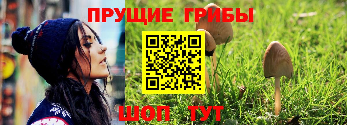 Псилоцибиновые грибы мухоморы  Галлюциногенные грибы GOLDEN TEACHER  Нефтеюганск  Вход с VPN 